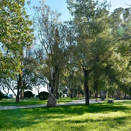 Welcome Marlen's House